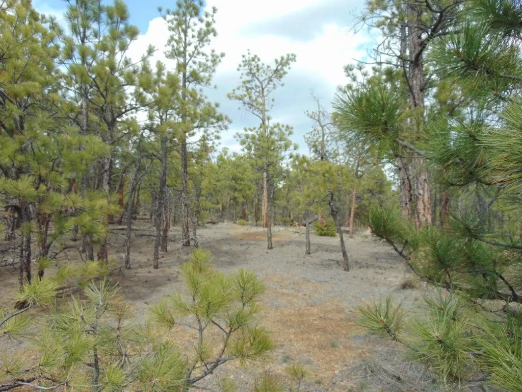 3575 Sweetwater Road Helena MT 59602