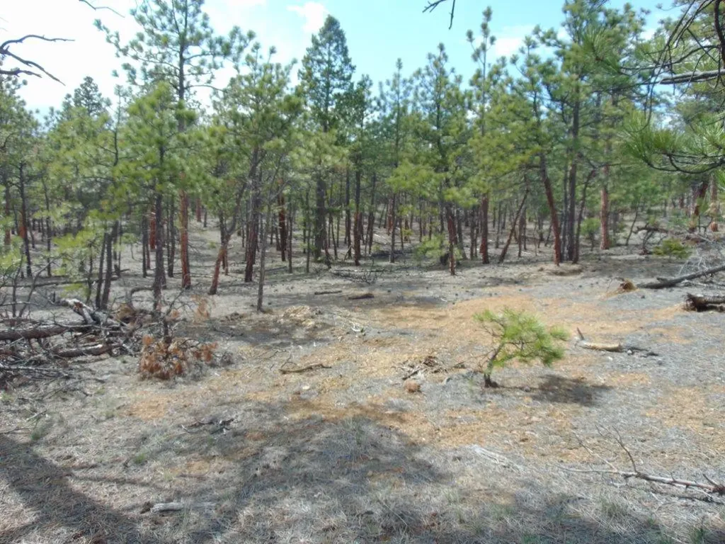 3575 Sweetwater Road Helena MT 59602