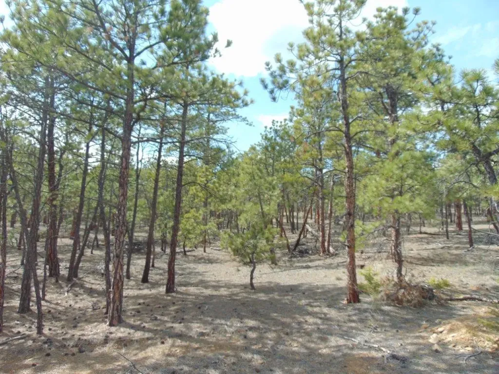 3575 Sweetwater Road Helena MT 59602