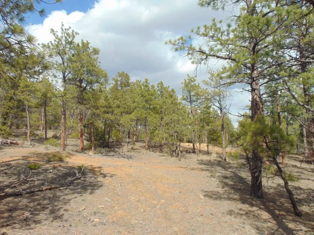3575 Sweetwater Road Helena MT 59602