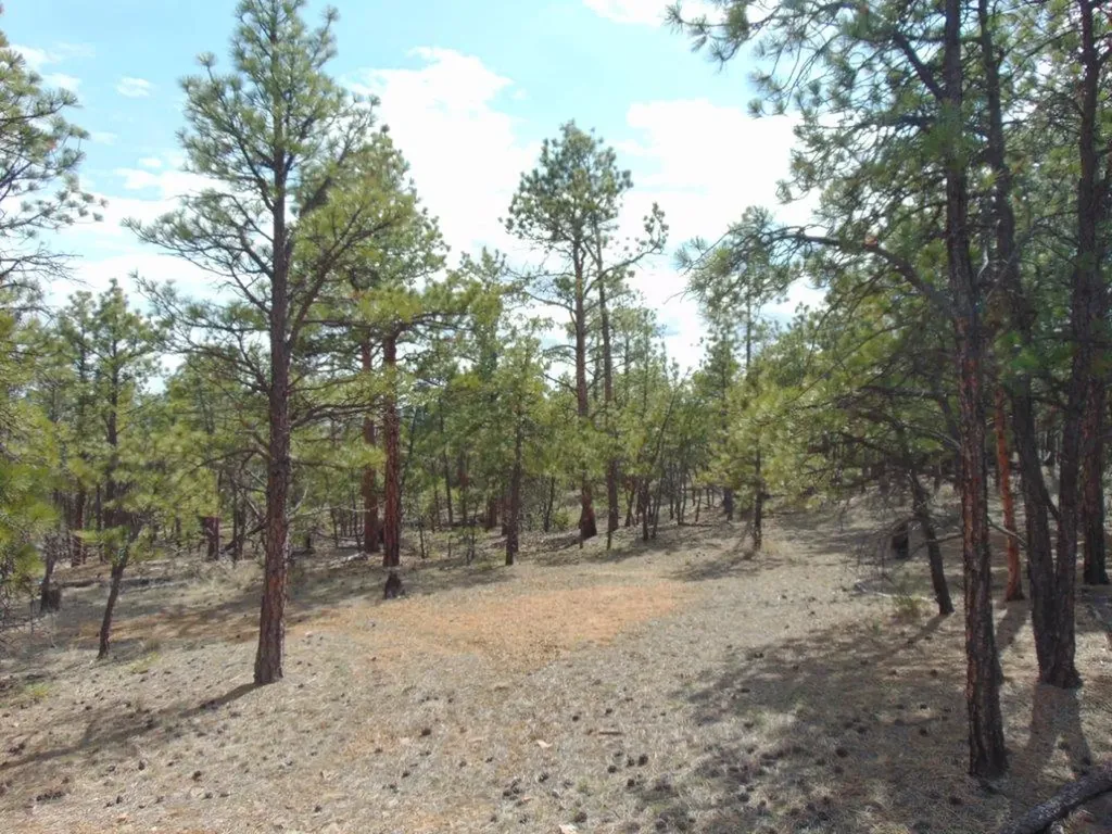 3575 Sweetwater Road Helena MT 59602