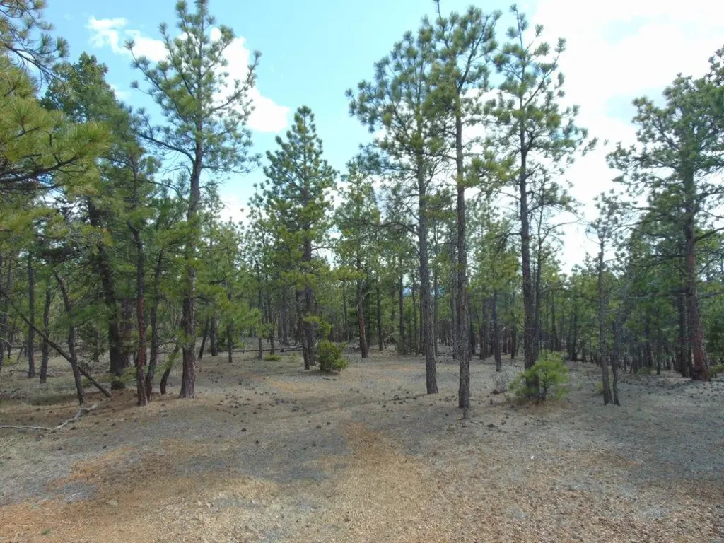 3575 Sweetwater Road Helena MT 59602