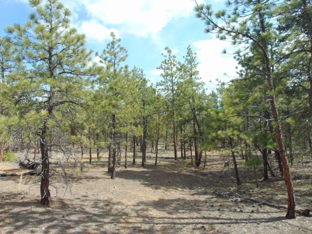 3575 Sweetwater Road Helena MT 59602