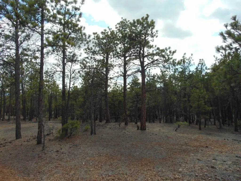 3575 Sweetwater Road Helena MT 59602