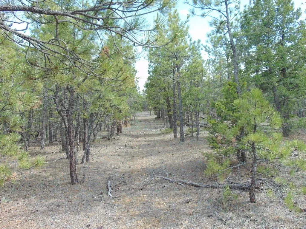 3575 Sweetwater Road Helena MT 59602