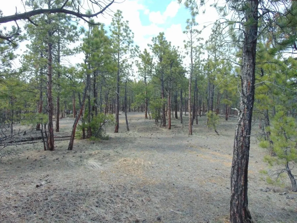 3575 Sweetwater Road Helena MT 59602