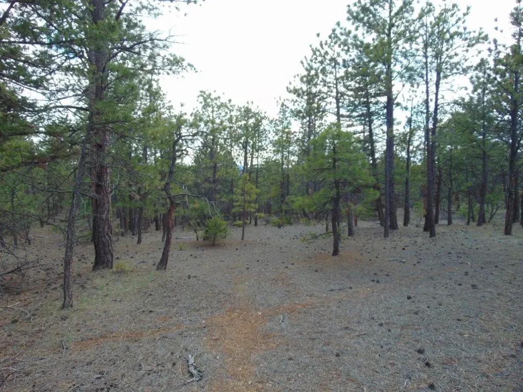 3575 Sweetwater Road Helena MT 59602