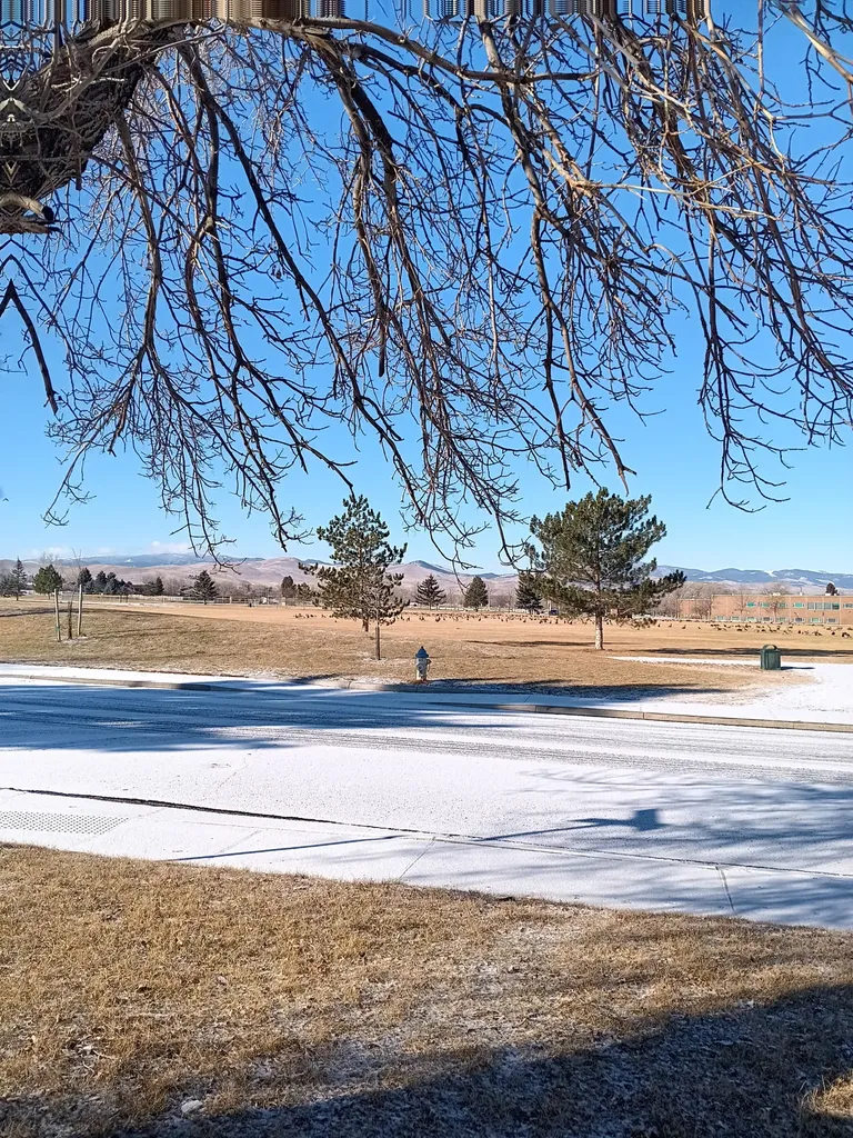 113 Ridgewood Lane Helena MT 59601
