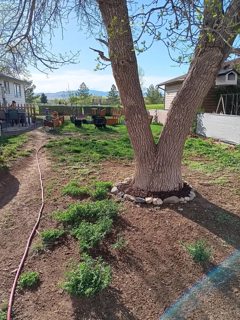 113 Ridgewood Lane Helena MT 59601