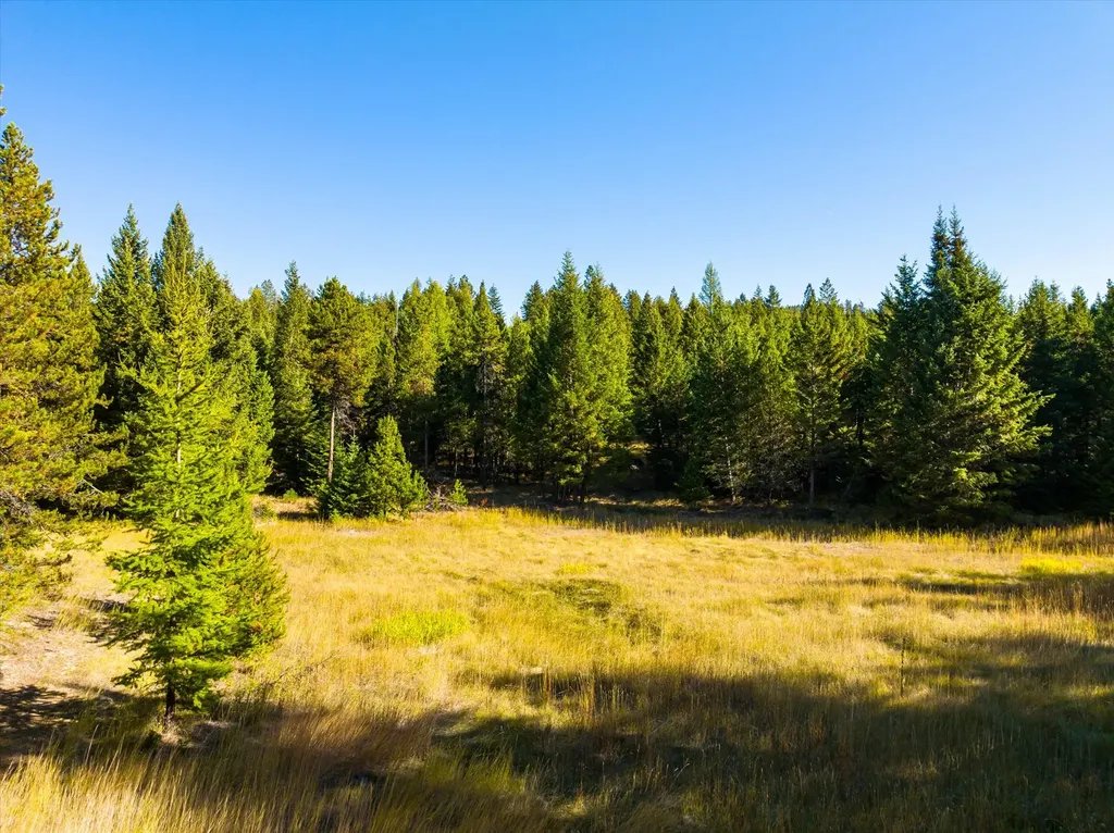 410 Blacktail Heights Road Lakeside MT 59922
