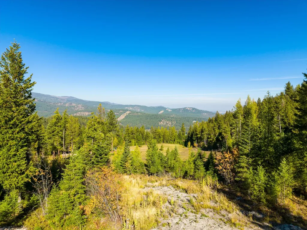 410 Blacktail Heights Road Lakeside MT 59922