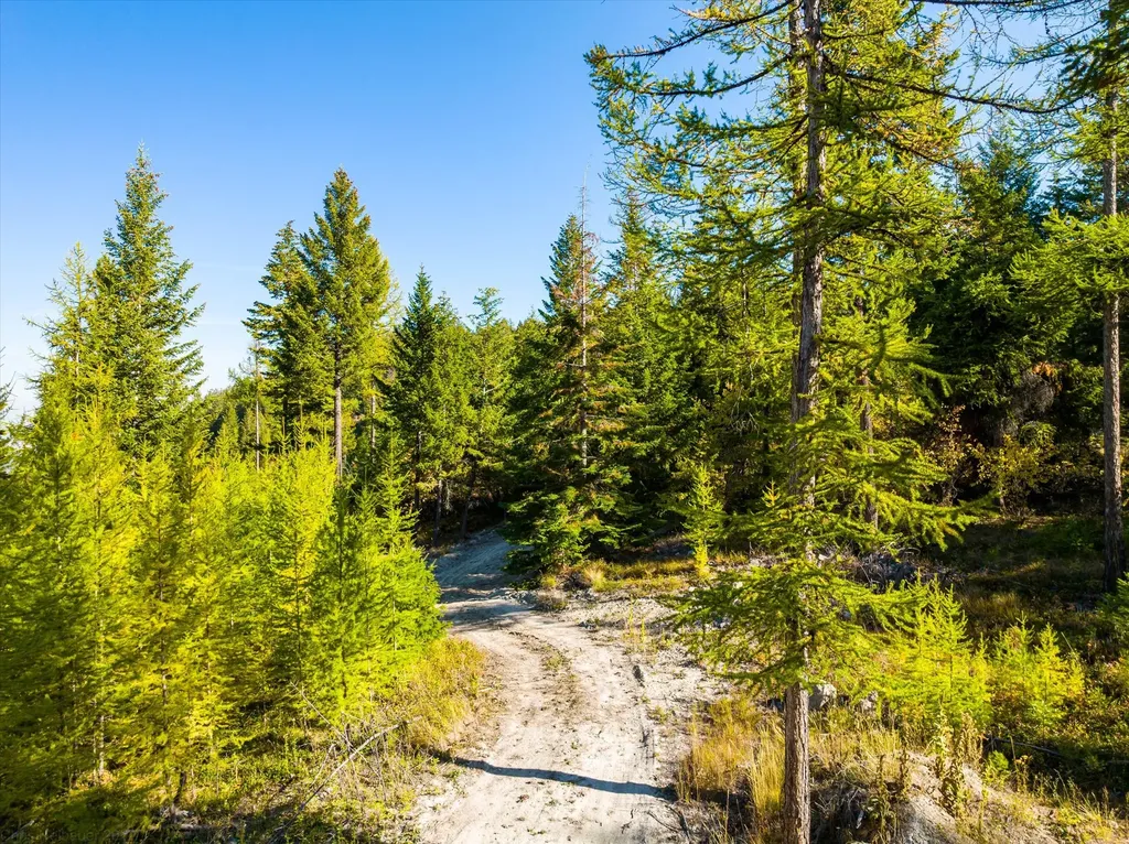 410 Blacktail Heights Road Lakeside MT 59922