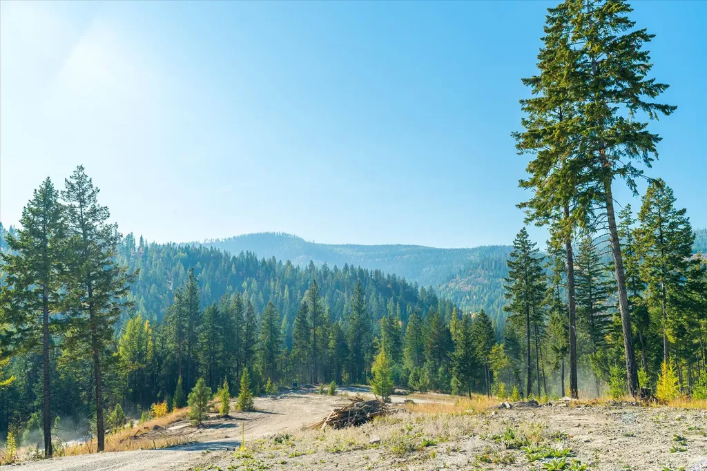 410 Blacktail Heights Road Lakeside MT 59922