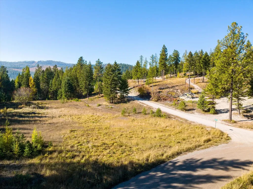 410 Blacktail Heights Road Lakeside MT 59922