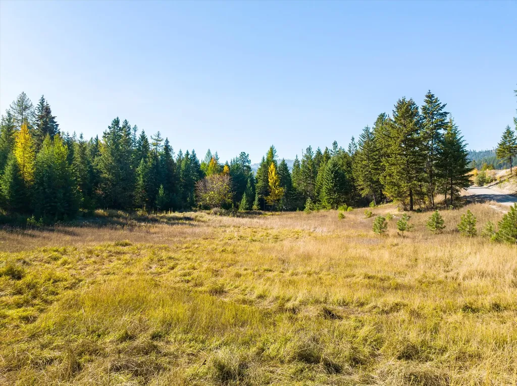 410 Blacktail Heights Road Lakeside MT 59922
