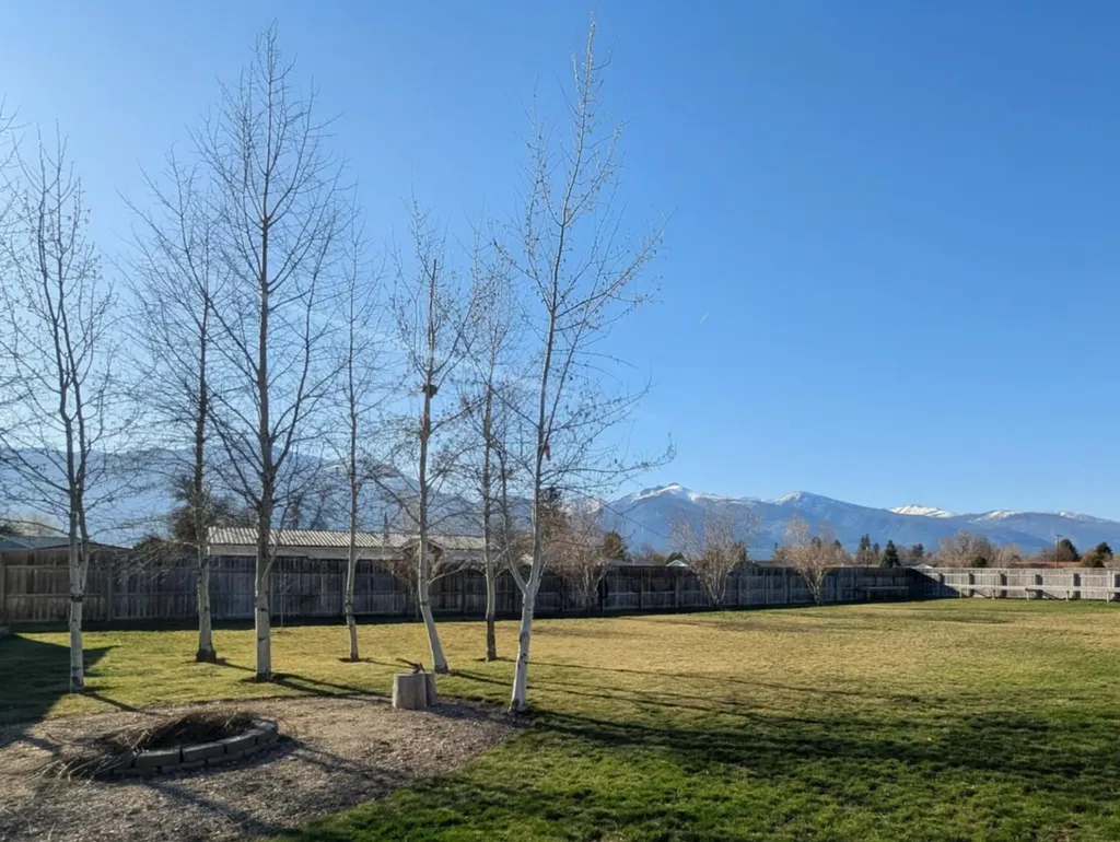 615 Park Avenue Stevensville MT 59870