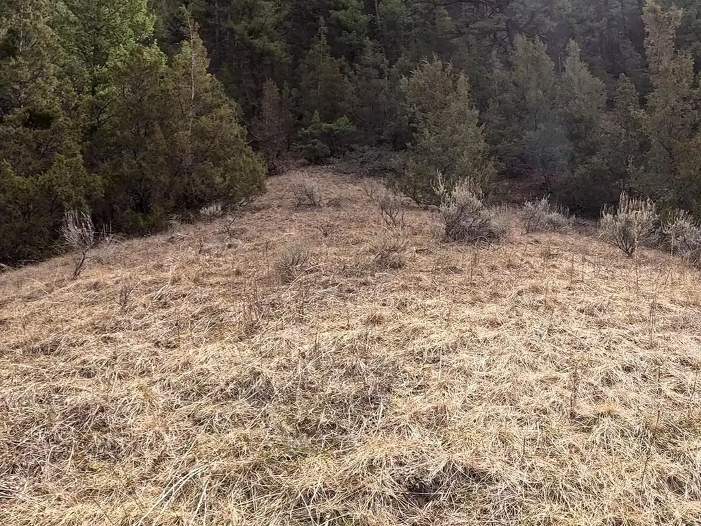 Nhn Pole Gulch Road Three Forks MT 59752