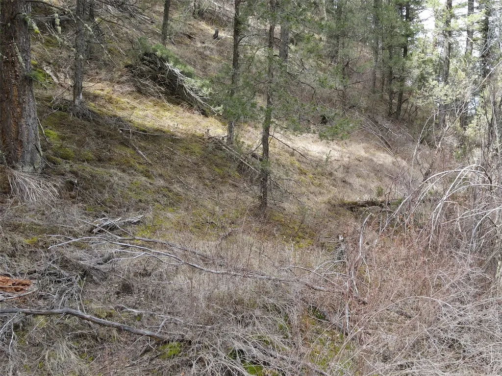 Nhn Pole Gulch Road Three Forks MT 59752