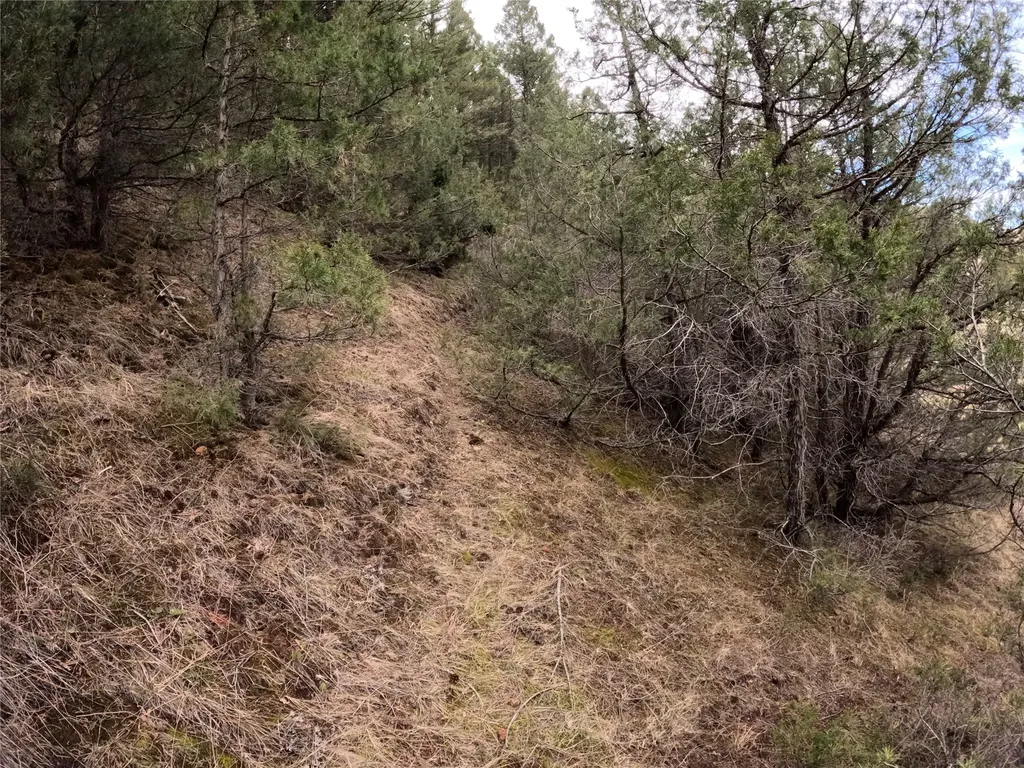 Nhn Pole Gulch Road Three Forks MT 59752
