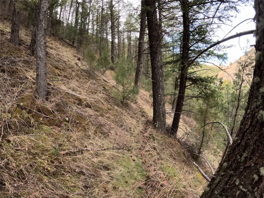 Nhn Pole Gulch Road Three Forks MT 59752