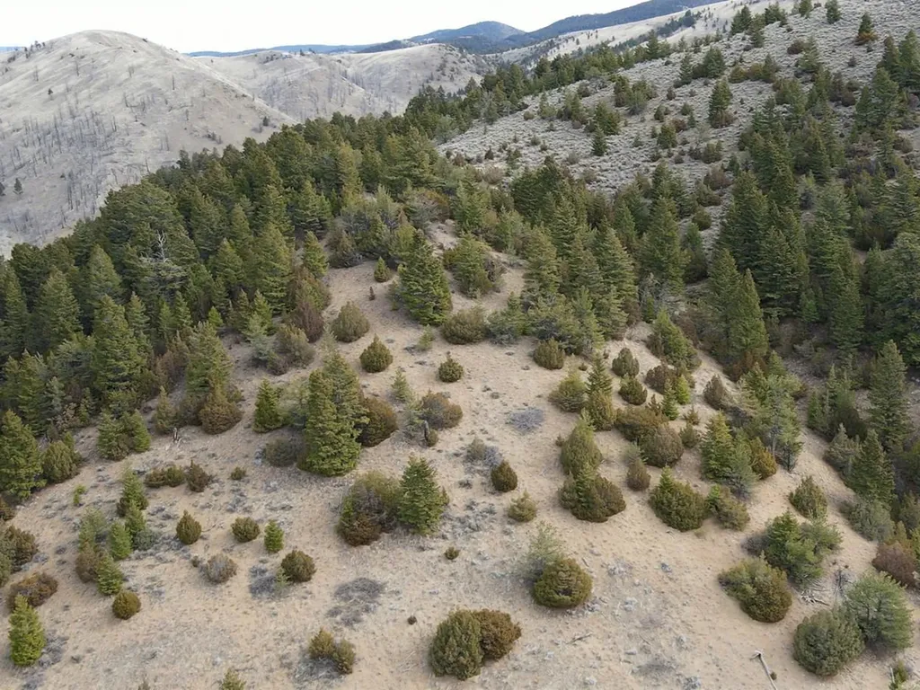 Nhn Pole Gulch Road Three Forks MT 59752