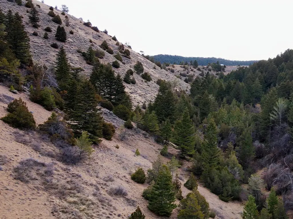Nhn Pole Gulch Road Three Forks MT 59752