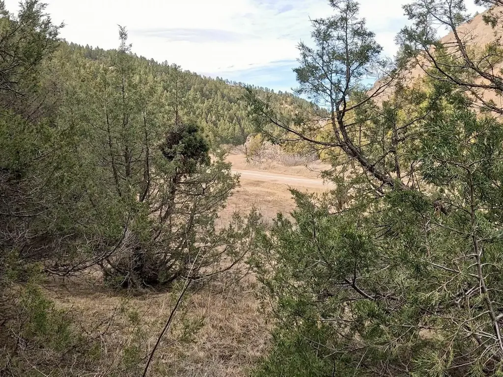 Nhn Pole Gulch Road Three Forks MT 59752