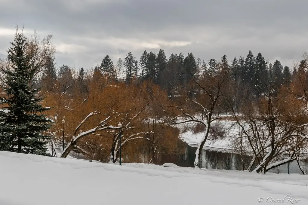139 E 2nd Street Whitefish MT 59937