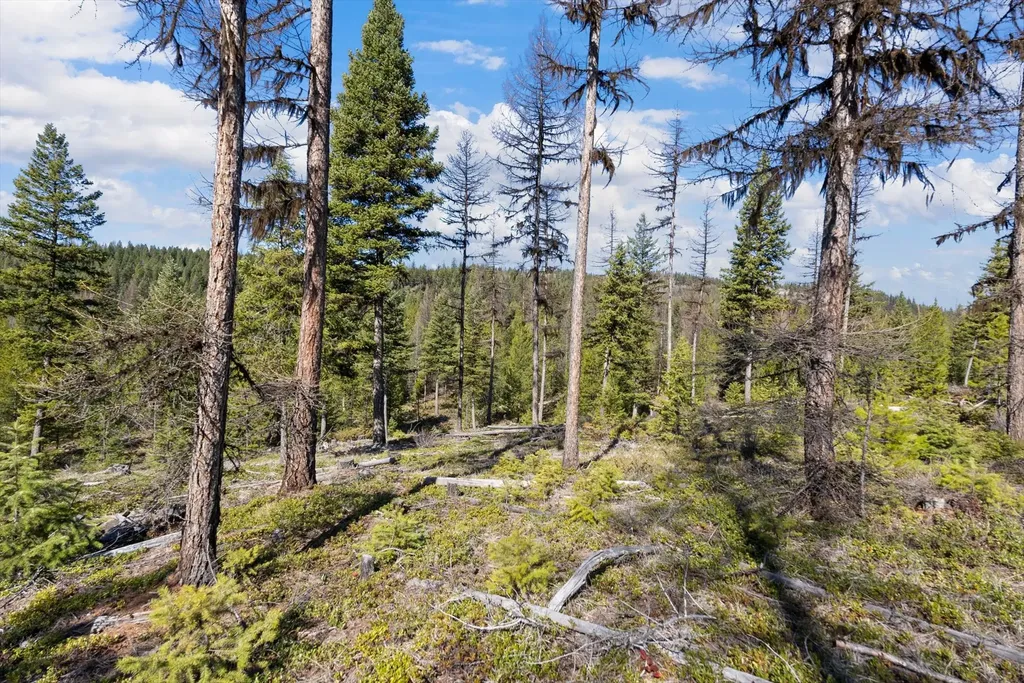 1034 View Ridge Marion MT 59925