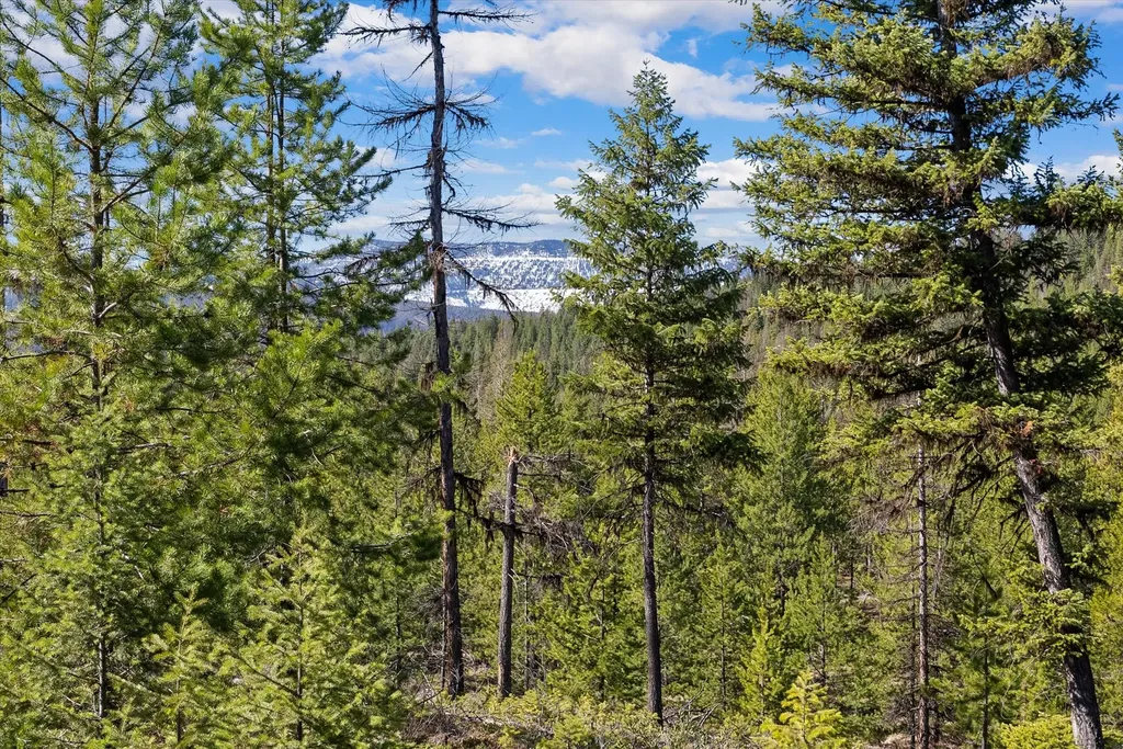 1034 View Ridge Marion MT 59925