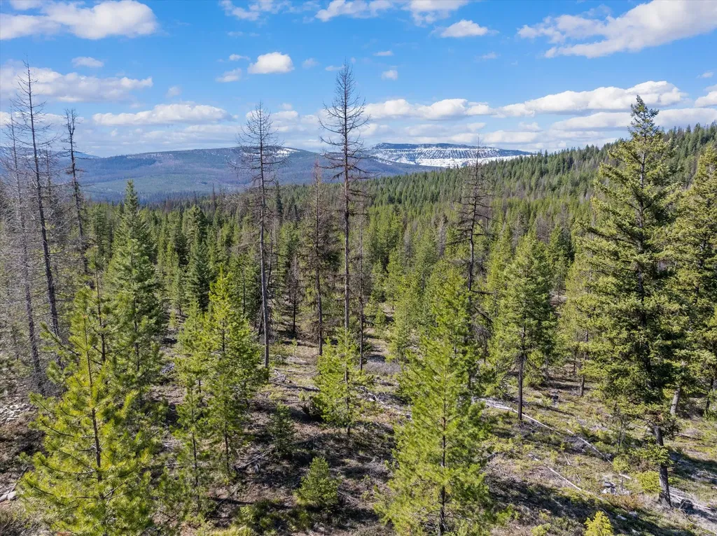 1034 View Ridge Marion MT 59925