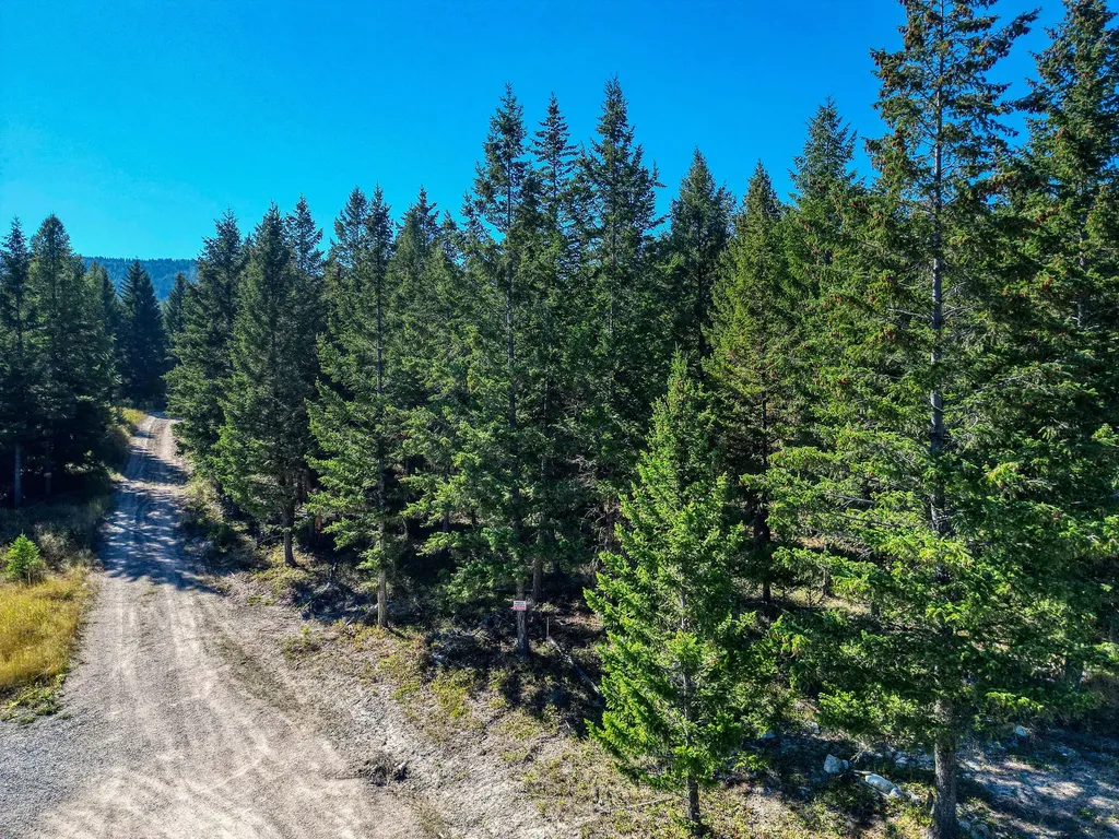 232 Wild Bill Trail Kila MT 59920