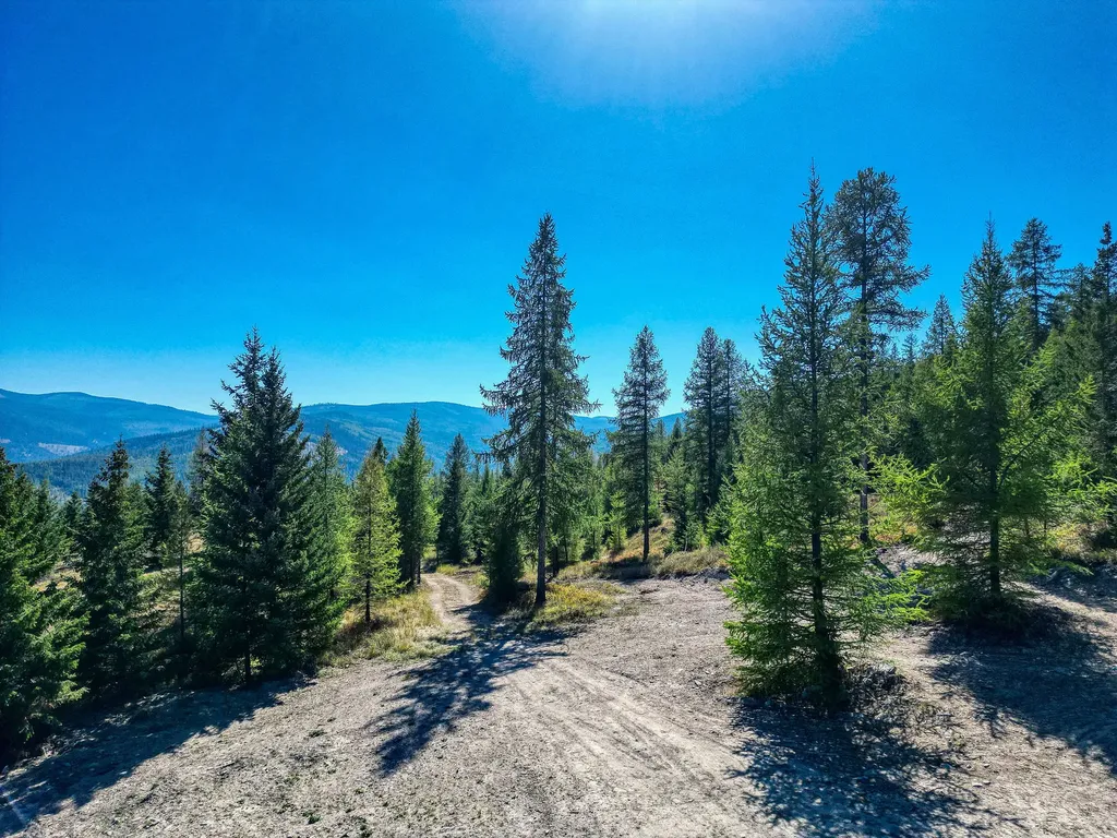 232 Wild Bill Trail Kila MT 59920