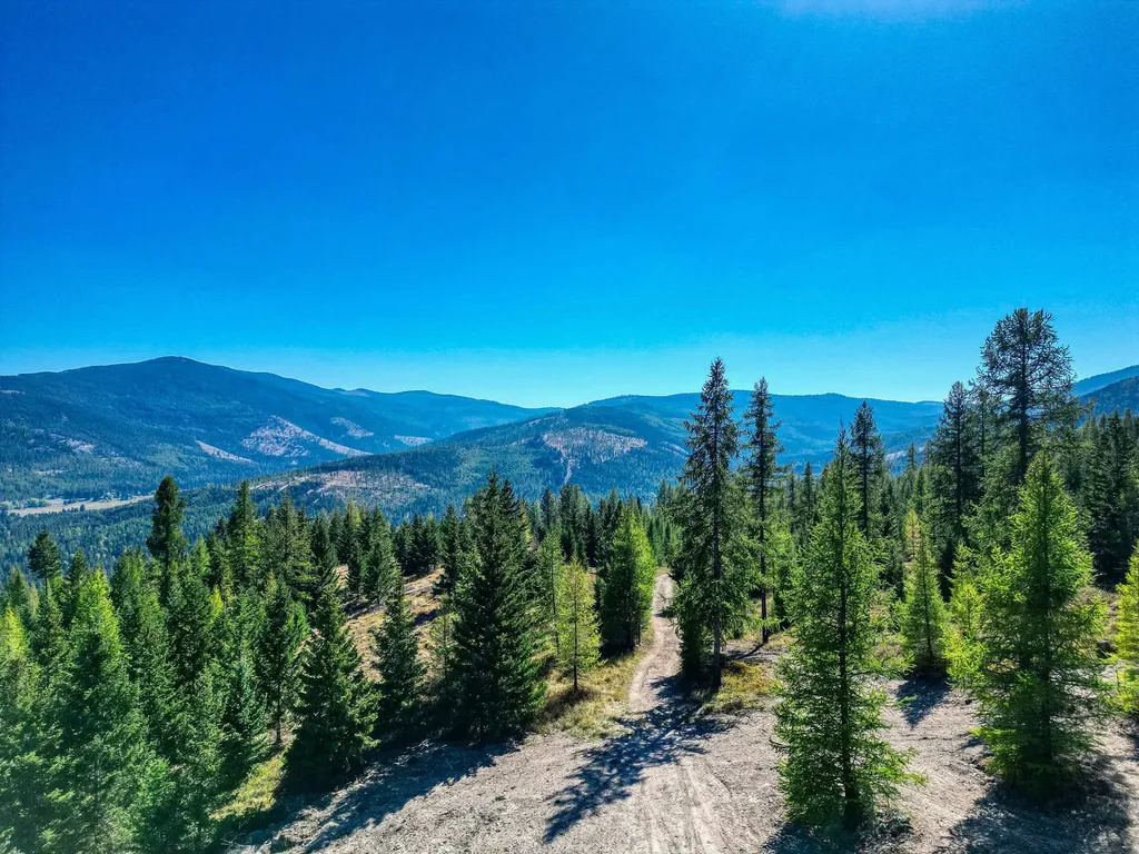 232 Wild Bill Trail Kila MT 59920