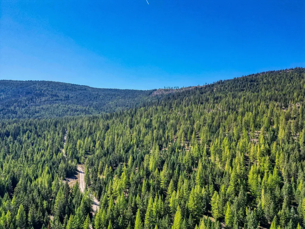 232 Wild Bill Trail Kila MT 59920