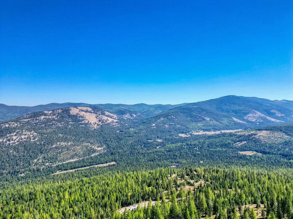 232 Wild Bill Trail Kila MT 59920