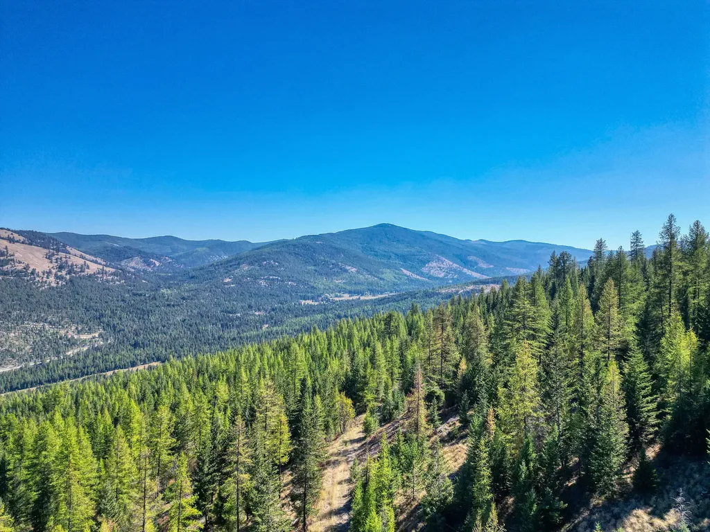 232 Wild Bill Trail Kila MT 59920