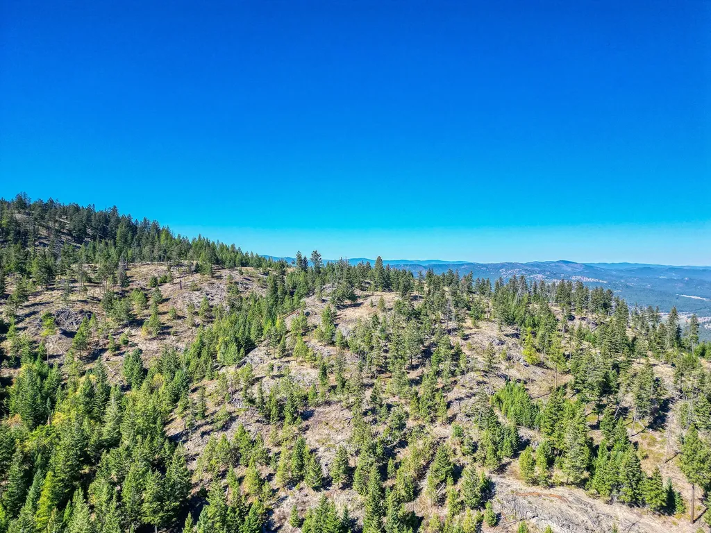 232 Wild Bill Trail Kila MT 59920