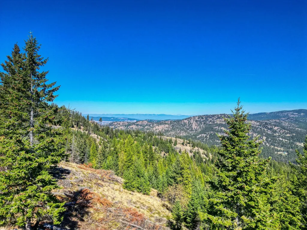 232 Wild Bill Trail Kila MT 59920