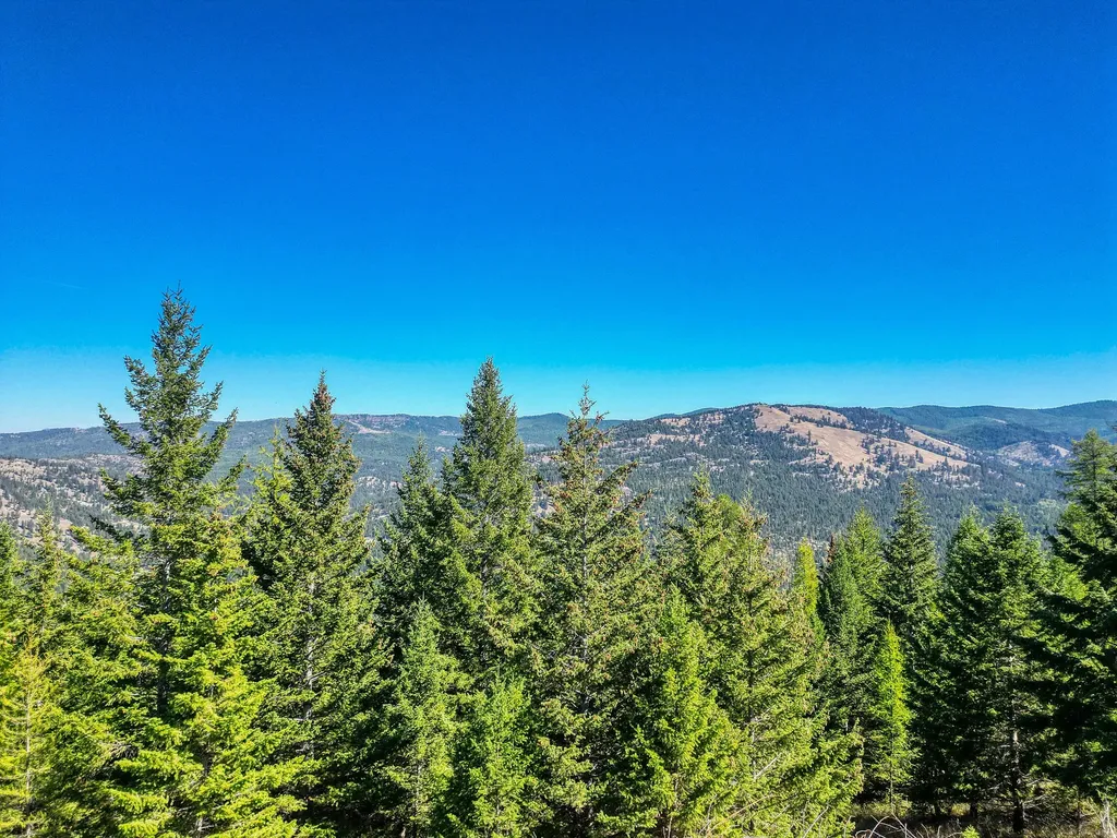 232 Wild Bill Trail Kila MT 59920