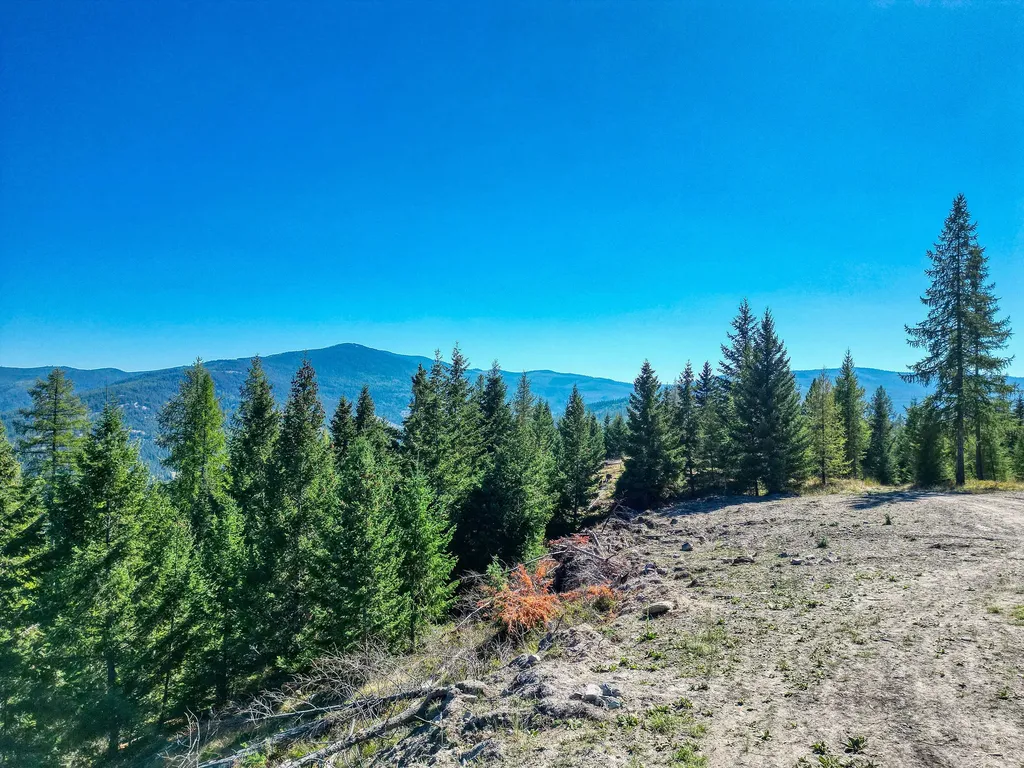 232 Wild Bill Trail Kila MT 59920