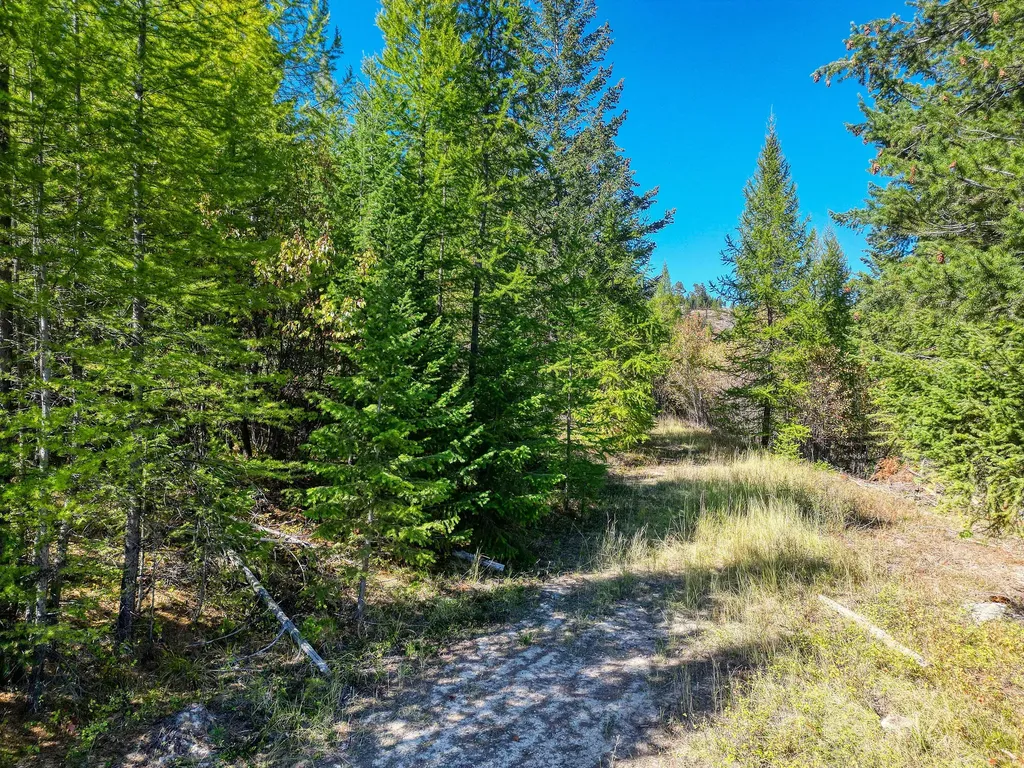 232 Wild Bill Trail Kila MT 59920