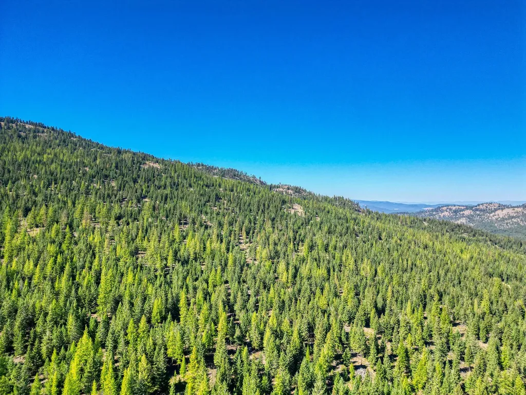 232 Wild Bill Trail Kila MT 59920
