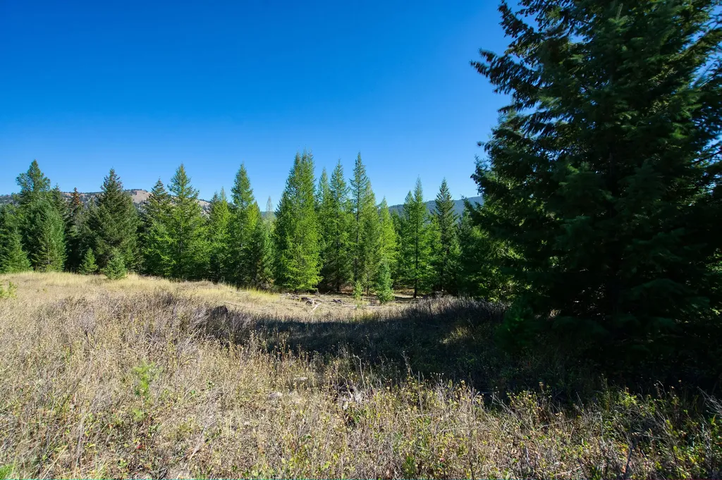 232 Wild Bill Trail Kila MT 59920