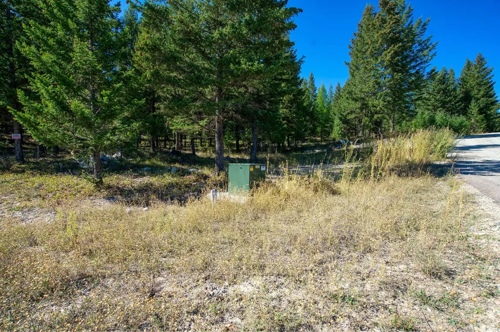 232 Wild Bill Trail Kila MT 59920