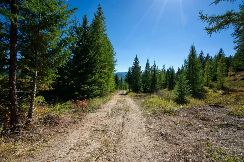 232 Wild Bill Trail Kila MT 59920