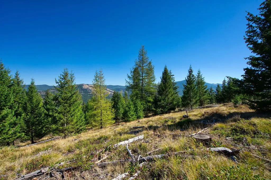 232 Wild Bill Trail Kila MT 59920
