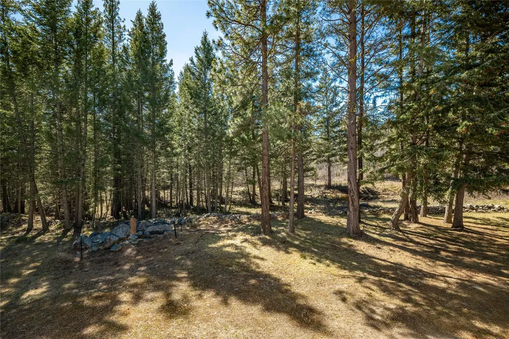 5559 Deer Lane Florence MT 59833