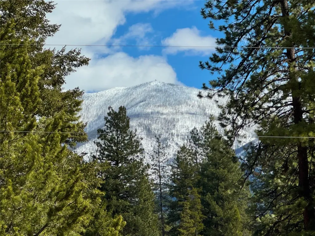 146 Deer Park Drive Seeley Lake MT 59868
