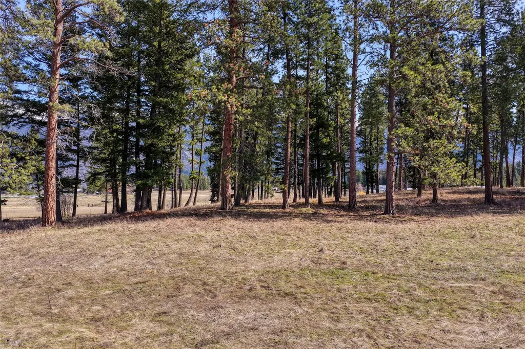 250 Patriots Lane Columbia Falls MT 59912